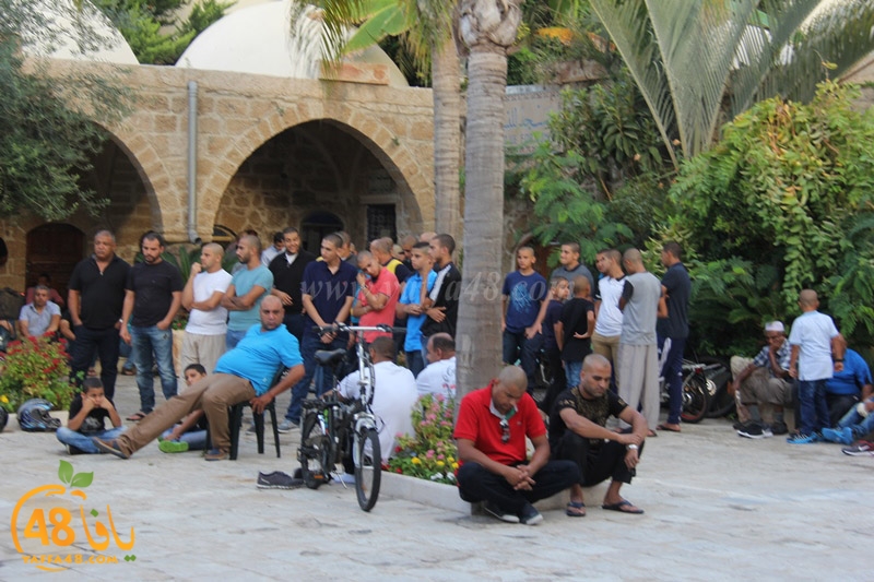 3ed ad7a mahmoudaia (23).JPG